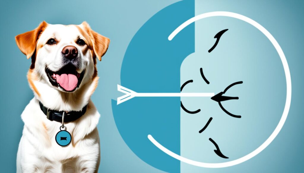 Prognosis for DLE in dogs Prognosis for DLE in dogs