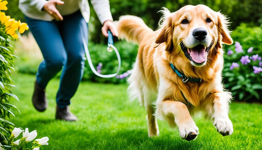 Tips for keeping dogs safe from dipladenia poisoning