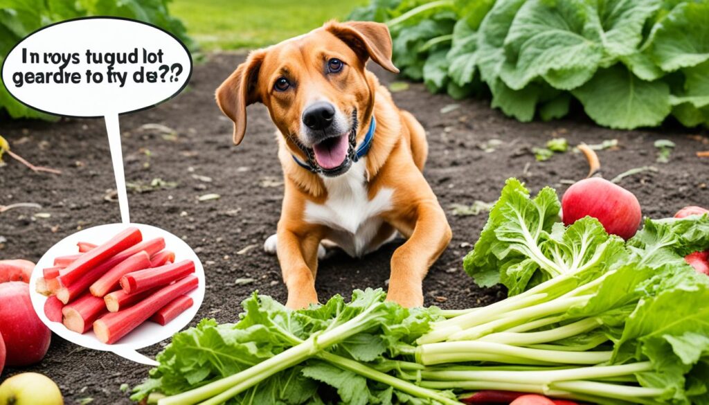can dogs eat rhubarb stalks