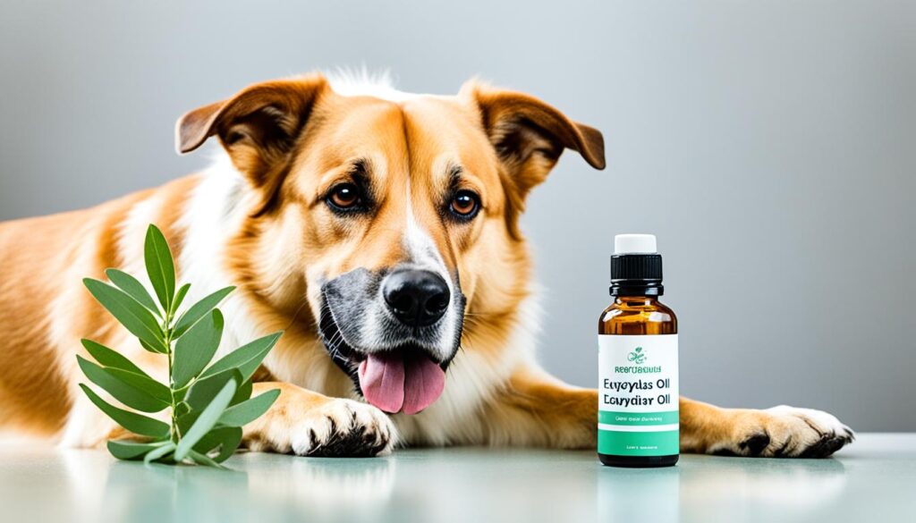 eucalyptus oil and dog toxicity