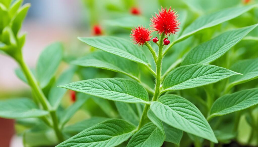 High-risk plants for dogs